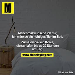 Manchmal wünsche ich mir, ich wäre so ein richtiges Tier im Bett.

Zum Beispiel ein Koala, die schlafen bis zu 20 Stunde