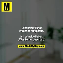 Lebenslauf klingt immer so aufgesetzt.

Ich schreibe lieber: „Was bisher geschah.“