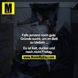 Falls jemand noch gute Gründe sucht, um im Bett zu bleiben ...

Es ist kalt, dunkel und noch nicht Freitag.