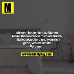 Ich kann heute nicht aufstehen. Meine Kissen haben mich als Rudelmitglied akzeptiert, und wenn ich gehe, verliere ich ih