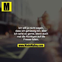 Ich will ja nicht sagen, dass ich gehässig bin, aber ich sehe es gerne, wenn auch mal die Richtigen auf die Fresse falle