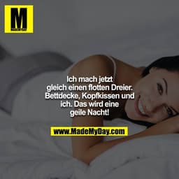 Ich mach jetzt gleich einen flotten Dreier. Bettdecke, Kopfkissen und ich. Das wird eine geile Nacht!
