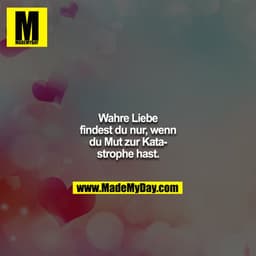 Wahre Liebe findest du nur, wenn du Mut zur Katastrophe hast.
