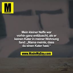Mein kleiner Neffe war vorhin ganz enttäuscht, als er keinen Kater in meiner Wohnung fand: „Mama meinte, dass du einen K