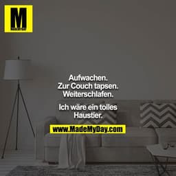Aufwachen. Zur Couch tapsen. Weiterschlafen.

Ich wäre ein tolles Haustier.