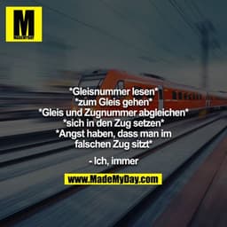 *Gleisnummer lesen*
*zum Gleis gehen*
*Gleis und Zugnummer abgleichen*
*sich in den Zug setzen*
*Angst haben, dass man i