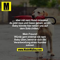 „... aber mit nem Hund müsstest du jetzt raus und Gassi gehen, so ein Baby könnte hier neben uns auf dem Sofa chillen.“
