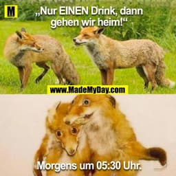 "Nur EINEN Drink, und dann gehen wir heim!"

Morgens um 05:30