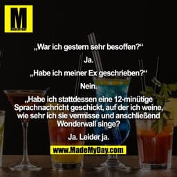 „War ich gestern sehr besoffen?“

Ja.

„Habe ich meiner Ex geschrieben?“

Nein.

„Habe ich stattdessen eine 12-minütige 