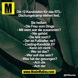 Die 12 Kandidaten für das RTL-Dschungelcamp stehen fest.

Sie heißen:
- Die Frau vom Dings
- Mit wem war die zusammen?
-