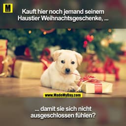 Kauft hier noch jemand seinem Haustier Weihnachtsgeschenke, damit sie sich nicht ausgeschlossen fühlen?