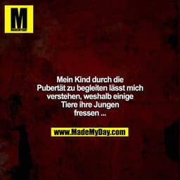 Mein Kind durch die Pubertät zu begleiten lässt mich verstehen, weshalb einige Tiere ihre Jungen fressen ...