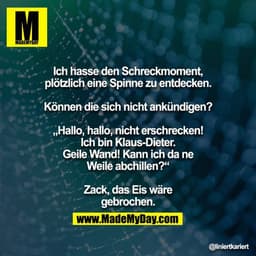 Ich hasse den Schreckmoment, plötzlich eine Spinne zu entdecken.

Können die sich nicht ankündigen?

„Hallo, hallo, nich
