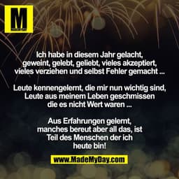 Ich habe in diesem Jahr gelacht, geweint, gelebt, geliebt, vieles akzeptiert, vieles verziehen und selbst Fehler gemacht