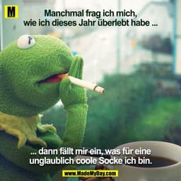 Manchmal frag ich mich, wie ich dieses Jahr überlebt habe ...
... dann fällt mir ein, was für eine unglaublich coole Soc