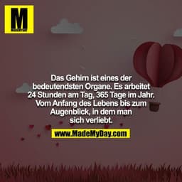 Das Gehirn ist eines der bedeutendsten Organe. Es arbeitet 24 Stunden am Tag, 365 Tage im Jahr. Vom Anfang des Lebens bi