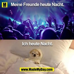 Meine Freunde heute Nacht.
Ich heute Nacht.