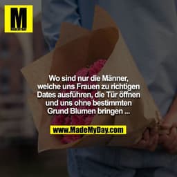 Wo sind nur die Männer, welche uns Frauen zu richtigen
Dates ausführen, die Tür öffnen und uns ohne bestimmten
Grund Blu