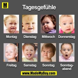 Tagesgefühle
Montag
Dienstag
Mittwoch
Donnerstag
Freitag
Samstag
Sonntag Sonntagabend