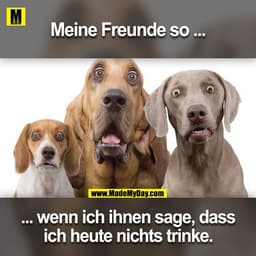 Meine Freunde so ...
... wenn ich ihnen sage das ich heute nichts trinke.