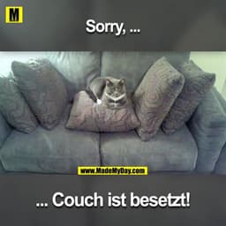 Sorry ...
... Couch ist besetzt!