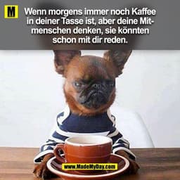 Wenn morgens immer noch Kaffee
in deiner Tasse ist, aber deine Mitmenschen denken, sie könnten
schon mit dir reden.