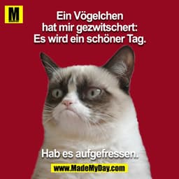 Ein Vögelchen hat mir gezwitschert: Es wird ein schöner Tag. Hab es aufgefressen.