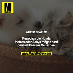 Studie beweißt:

Menschen die Hunde, Katzen oder Babys mögen sind generell bessere Menschen.