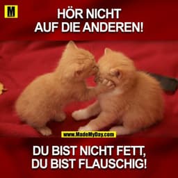 HÖR NICHT AUF DIE ANDEREN



DU BIST NICHT FETT
DU BIST FLAUSCHIG