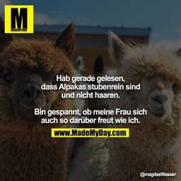 Hab gerade gelesen, dass Alpakas stubenrein sind und nicht haaren.

Bin gespannt, ob meine Frau sich auch so darüber fre