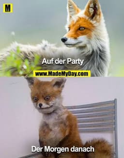 Auf der Party
Der Morgen danach