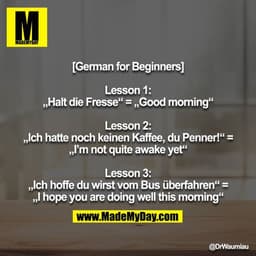 [German for Beginners]

Lesson 1:
„Halt die Fresse“ = „Good morning“

Lesson 2:
„Ich hatte noch keinen Kaffee, du Penner