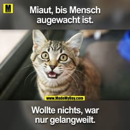 Spruch