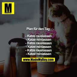 Plan für den Tag:

- Katze rauslassen
- Katze reinlassen
- Katze rauslassen
- Katze reinlassen
- Katze rauslassen
- Katz