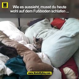 Wie es aussieht, musst du heute
wohl auf dem Fußboden schlafen ....
* TomFin