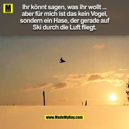 Ihr könnt sagen, was ihr wollt ...
aber für mich ist das kein Vogel,
sondern ein Hase, der gerade auf
Ski durch die Luft
