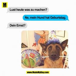 Lust heute was zu machen?
Ne, mein Hund hat Geburtstag.
Dein Ernst?
:
Happy
Birthday