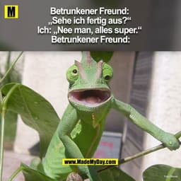 Betrunkener Freund:
„Sehe ich fertig aus?"
Ich: „Nee man, alles super."
Betrunkener Freund:
Famil