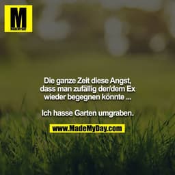 Die ganze Zeit diese Angst, dass man zufällig der/dem Ex wieder begegnen könnte ...

Ich hasse Garten umgraben.