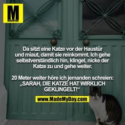 Da sitzt eine Katze vor der Haustür und miaut, damit sie reinkommt. Ich gehe selbstverständlich hin, klingel, nicke der
