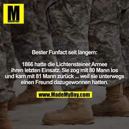 Bester Funfact seit langem:

1866 hatte die Lichtensteiner Armee ihren letzten Einsatz. Sie zog mit 80 Mann los und kam 