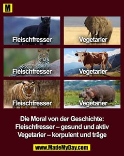 Fleischfresser
Vegetarier
Die Moral von der Geschichte: Fleischfresser - gesund und aktiv
Vegetarier - korpulent und trä