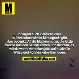 Ihr ärgert euch vielleicht, dass es jetzt schon wieder Minusgrade gibt, aber bedenkt: All die Mückenmütter, die letzte W