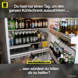 Du hast nur einen Tag um den ganzen Kühlschrank auszutrinken ....
... wen würdest du bitten dir zu helfen.