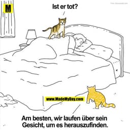Spruch