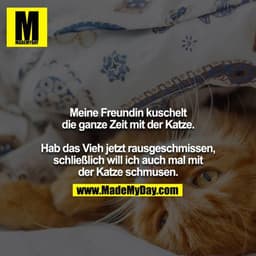 Meine Freundin kuschelt die ganze Zeit mit der Katze. Hab das Vieh jetzt rausgeschmissen, schließlich will ich auch mal 