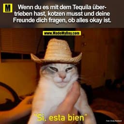 Spruch