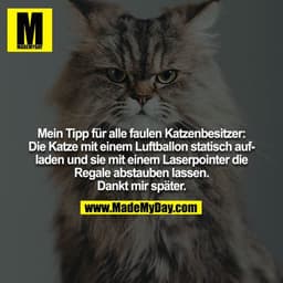 Mein Tipp für alle faulen Katzenbesitzer: Die Katze mit einem Luftballon statisch aufladen und sie mit einem Laserpointe