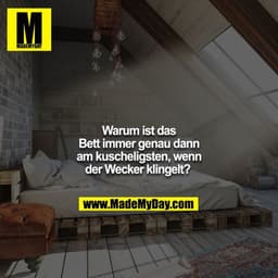 Warum ist das Bett immer genau dann am kuscheligsten, wenn der Wecker klingelt?