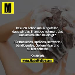 Ist euch schon mal aufgefallen, dass wir das Shampoo nehmen, das uns am meisten beleidigt?

Für trockenes, sprödes, schw